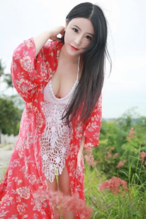 菜鸟总动员
