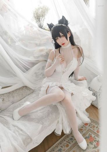 b型h系